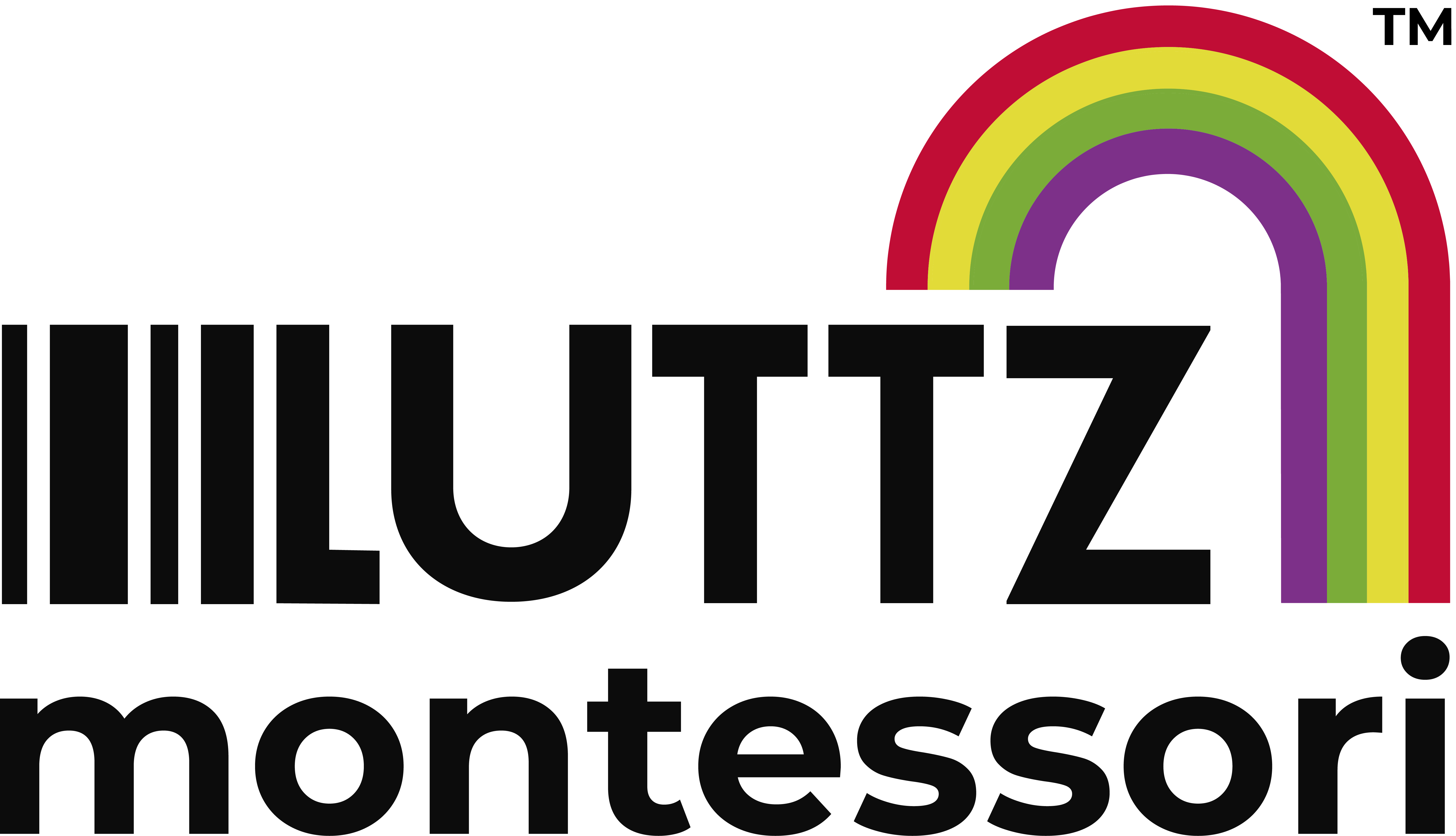 Logo de Luttz